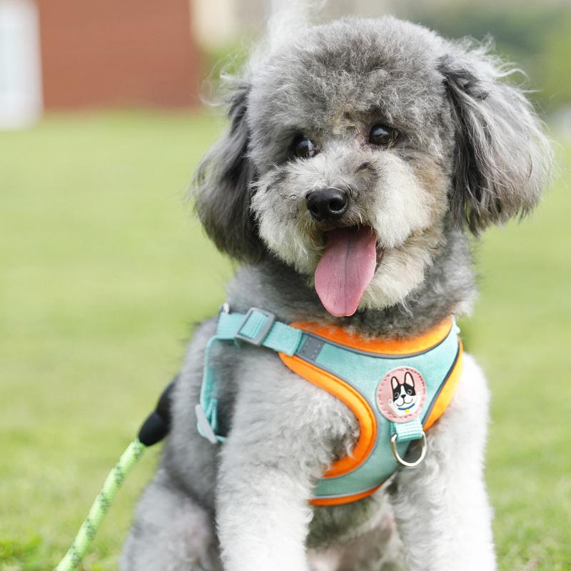 Set Harnesses dan Tali Anjing  - Outdoor Adventure Walks ulasan dan harga