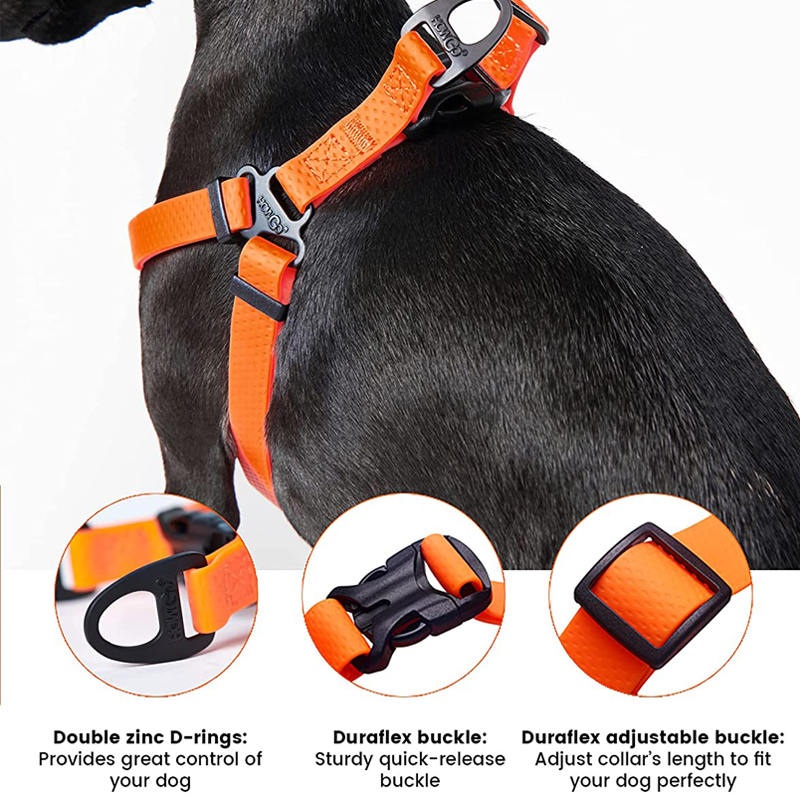 Harness Anjing yang Dapat Dise - Outdoor Adventure Walks ulasan dan harga
