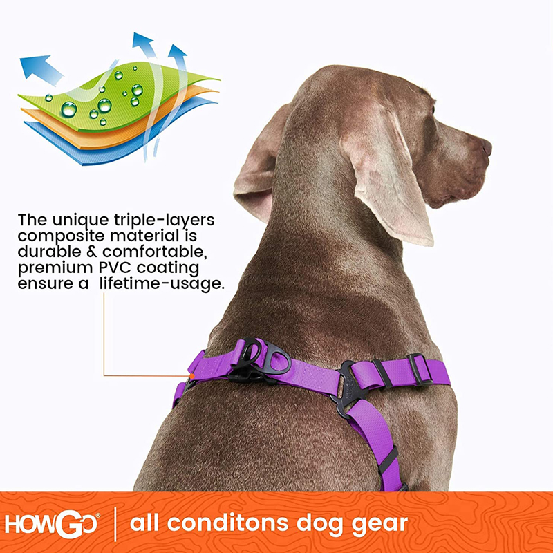 Harness Anjing yang Dapat Dise - Outdoor Adventure Walks ulasan dan harga