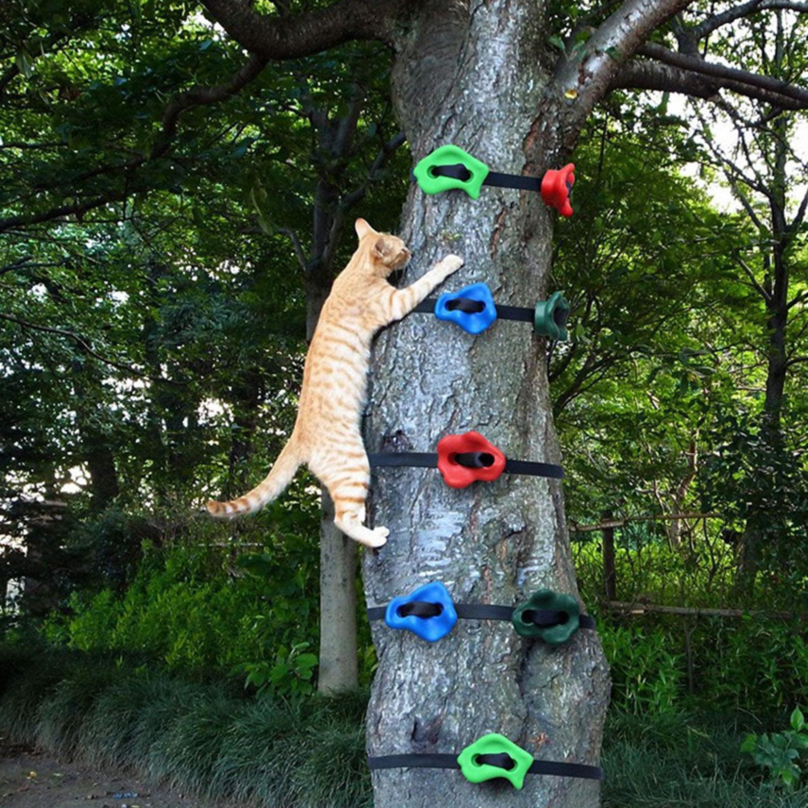 Mainan Panjat Tebing Luar Ruan - Outdoor Adventure Course ulasan dan harga